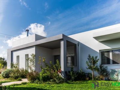 Icf Paiania2 1
