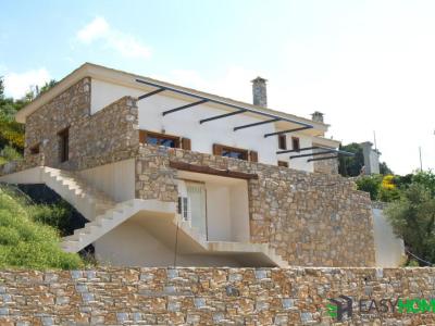 ICF Κατοικία στο Πήλιο 7