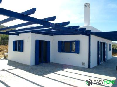 ICF Κατοικία στην Κάρυστο 1