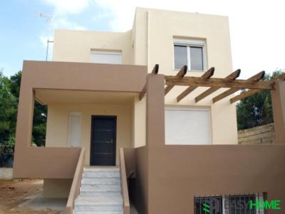 ICF Κατοικία στην Αρτέμιδα 2