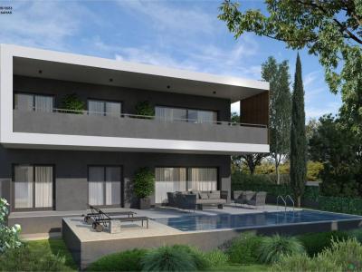 Kataskeui Pallini2c