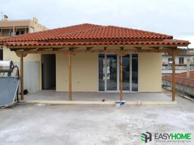 Prokat Pallini3